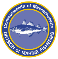 NC Division of Marine Fisheries