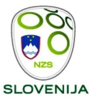 Football association of slovenia