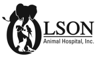 Olson animal hospital