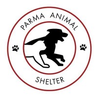 Parma animal shelter