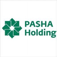"pasha holding" llc