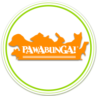 Pawabunga!, llc