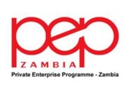 Private enterprise programme - zambia