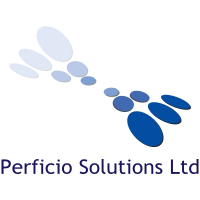 Perficio partners business management services