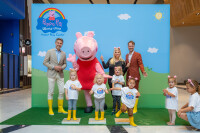 Piglets playcentre limited