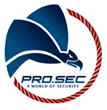 Pro sec professional security as