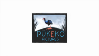 Pukeko pictures lp