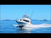 Renegade fishing charters