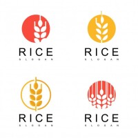 Rice tax service