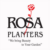 Rosa planters vietnam ltd.