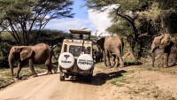 Sababu safaris