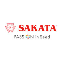 Sakata seed sudamerica