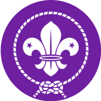 Wosm - world organization of the scout movement