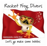 Rocket frog divers