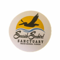 Seaside seabird sanctuary