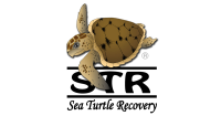 Sea turtle recovery inc