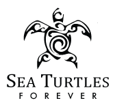 Sea turtles forever