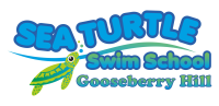 Sea turtle swim school