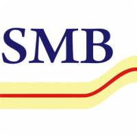 Smb professional services ltd