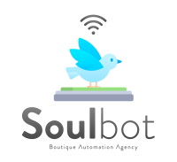 Soulbot automation agency
