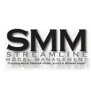 Streamline model management