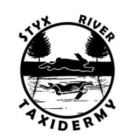 Styx river art