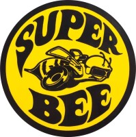 Super bee rescue and removal