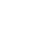 Tech ambassadors