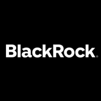 The blackrock group