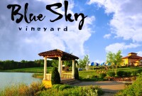 Blue Sky Vineyard
