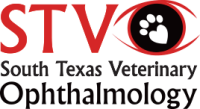 South Texas Veterinary Ophthalmology