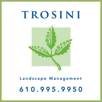Trosini landscape management