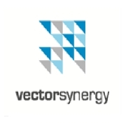 Vector synergy ltd.