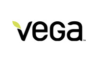 Vega foundation inc