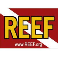 Reef Environmental Education Foundation
