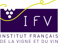 Institut français de la vigne et du vin (ifv)