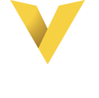 Visotsky consulting