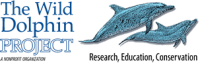 Wild dolphin project