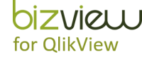 Bizview Systems