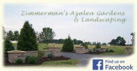 Zimmermans azalea garden and landscaping