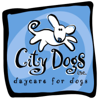 City Dogs Daycare for Dogs