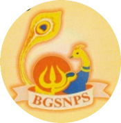 Bgs national public school - india