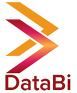 Databi solutions