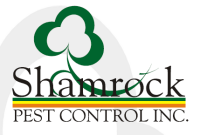 Shamrock Pest Services
