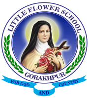 Little flower school - india