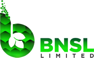 Bnsl limited