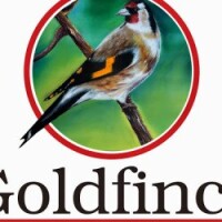 Goldfinch mobile solutions pvt.ltd.