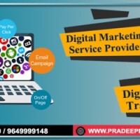 Pradeep digital marketing private limited