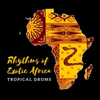 Rhythms exotic afro precussons