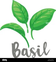 Basil growth corporation
